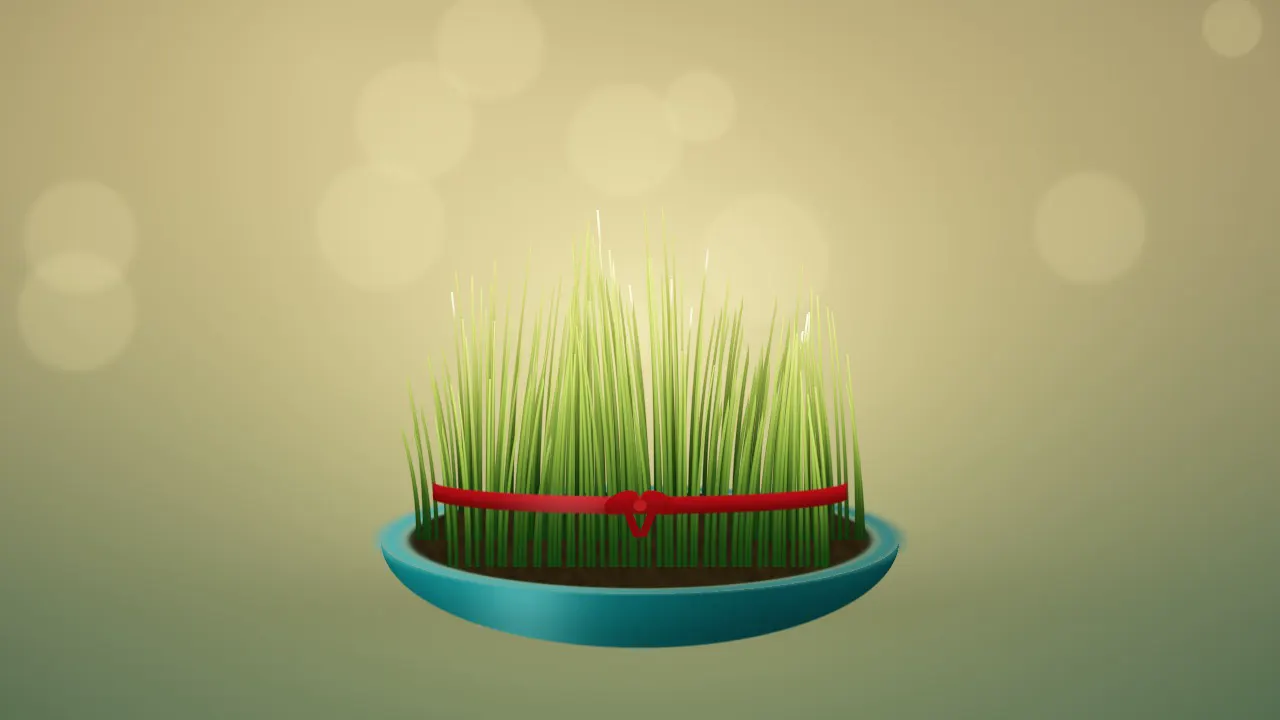 A turquoise-glazed dish of green wheat sprouts tied with a red ribbon, backlit in warm morning light