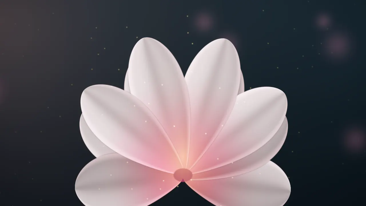 One huge blush-white magnolia flower on a deep teal dusk